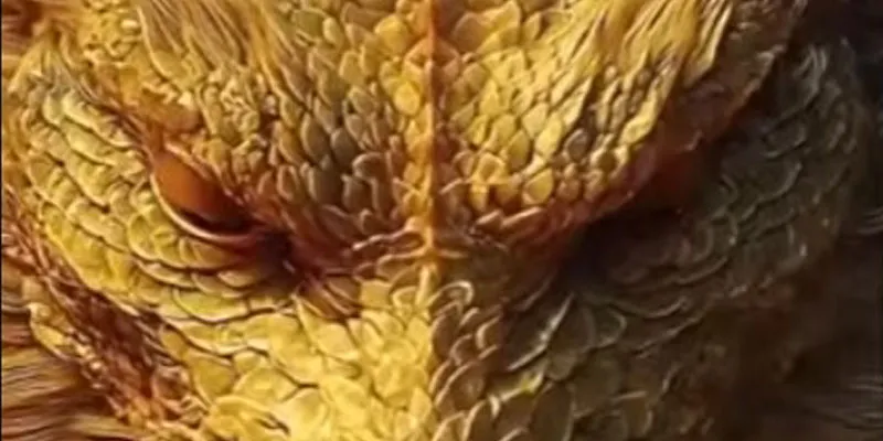 Dragon rises, luck on high!Start the year with fortune nigh